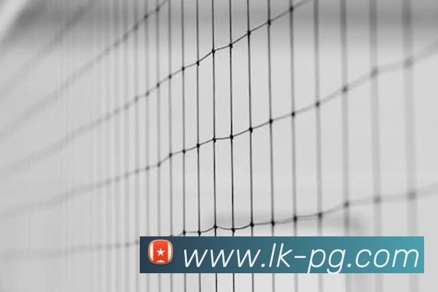 pg电子发展历程